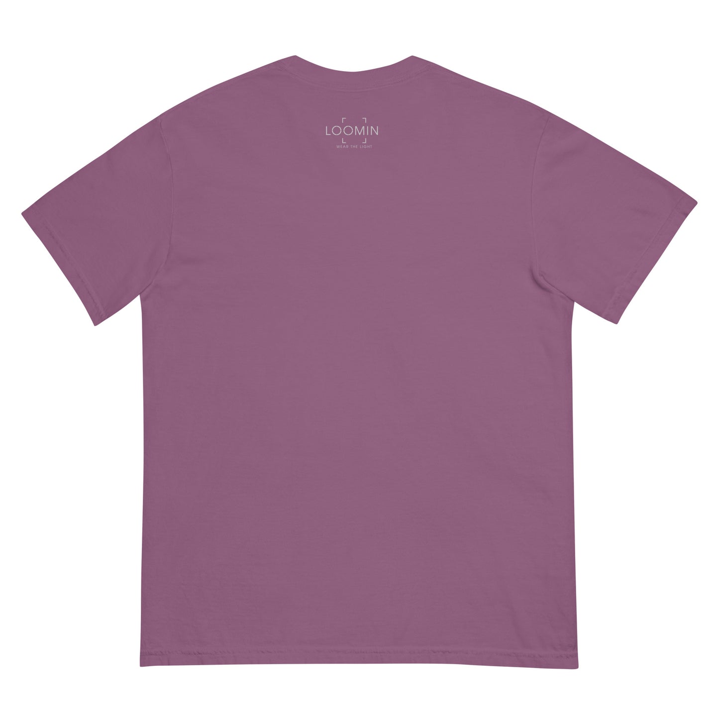 Lens Reflections garment-dyed heavyweight t-shirt