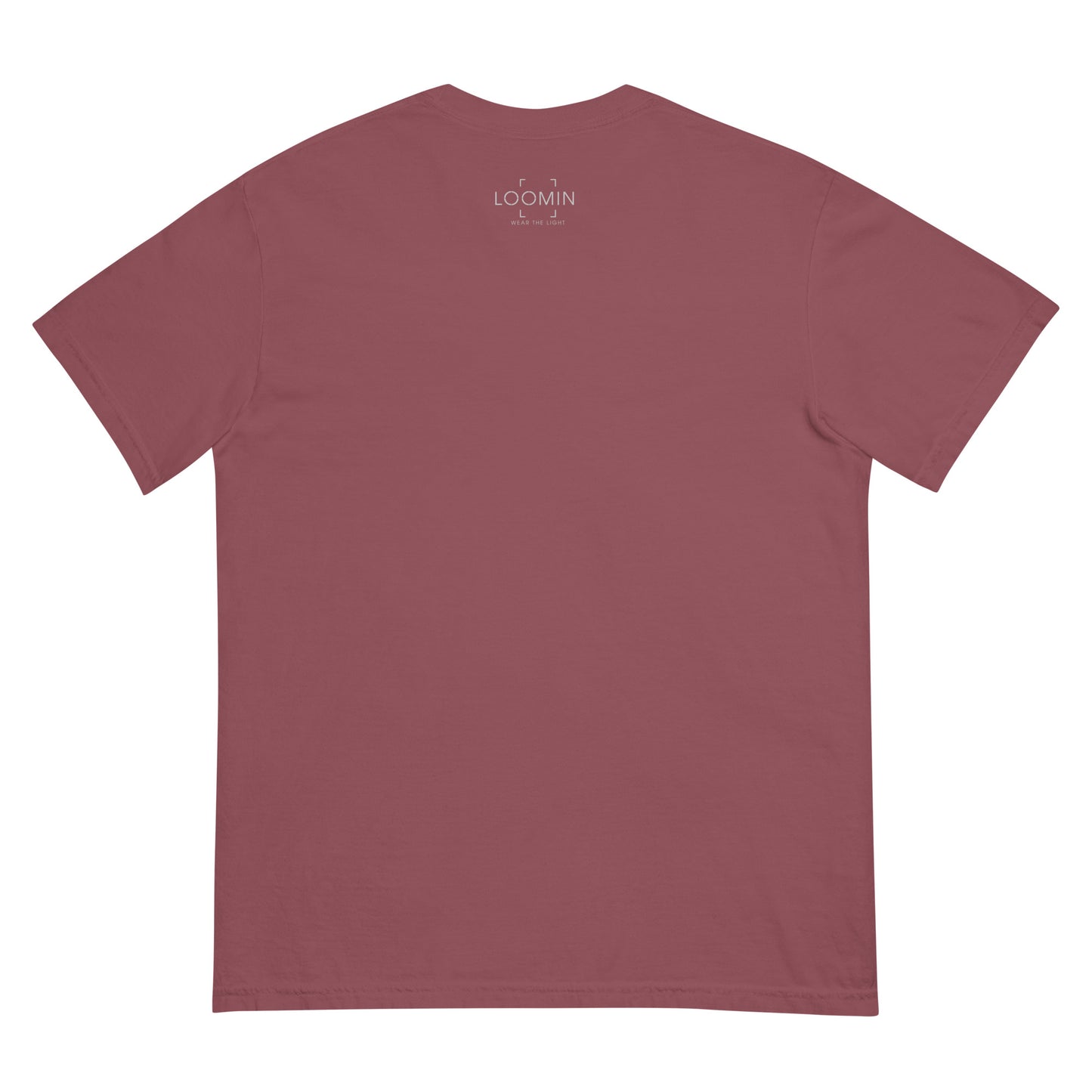 Lens Reflections garment-dyed heavyweight t-shirt