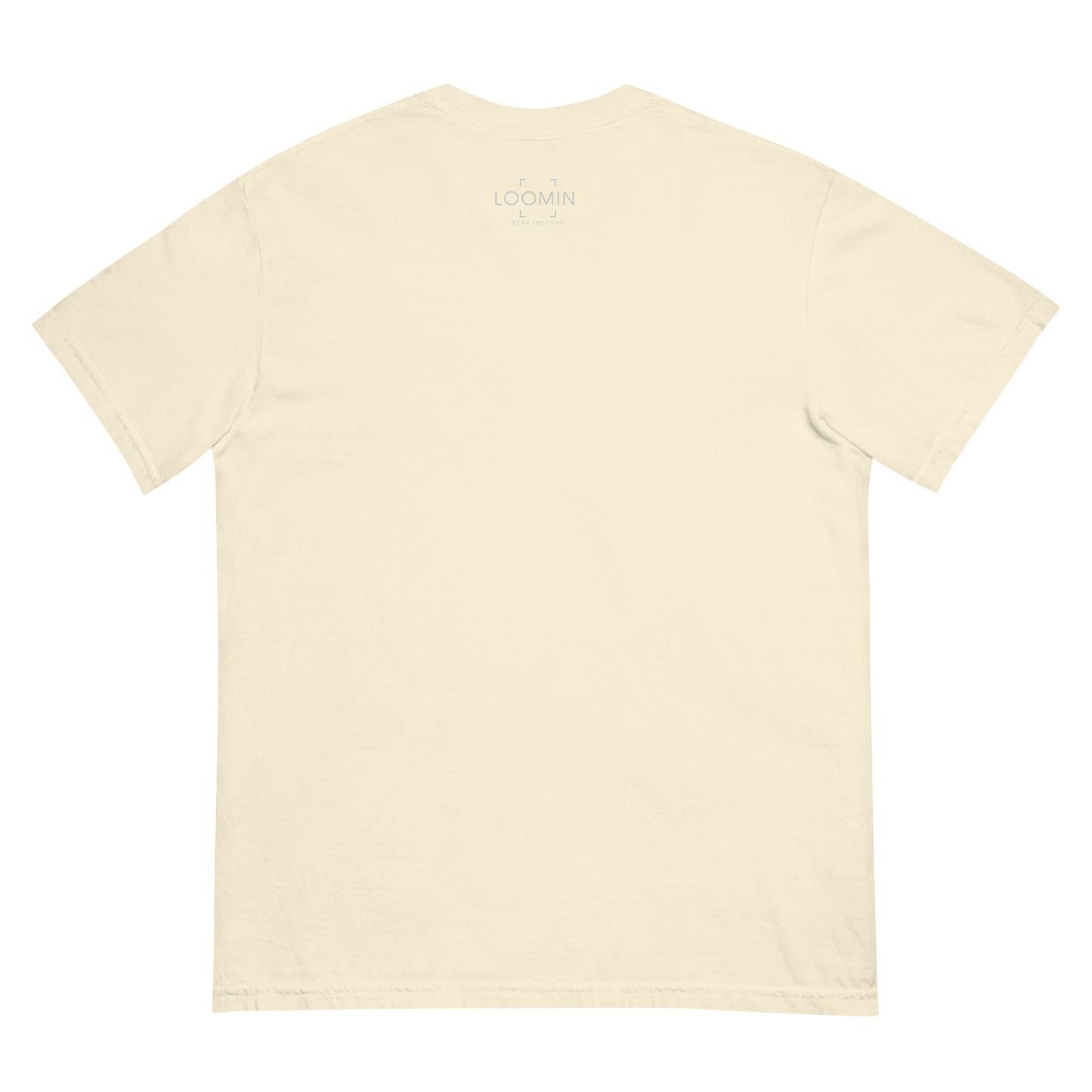 Lens Reflections garment-dyed heavyweight t-shirt