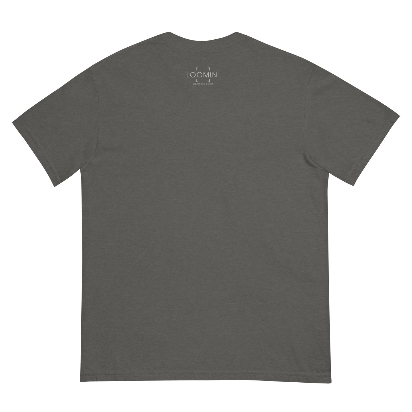 Lens Reflections garment-dyed heavyweight t-shirt
