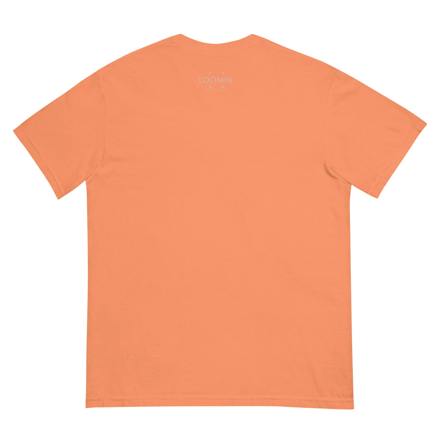Lens Reflections garment-dyed heavyweight t-shirt